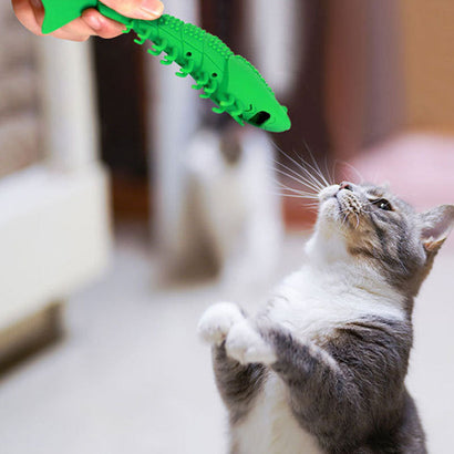 Catnip & Chew Sticks
