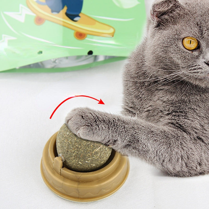 Tender Paws Collection