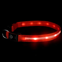 LED Pet Collar – Waterproof Light Up Dog & Cat Collar for Night Safety