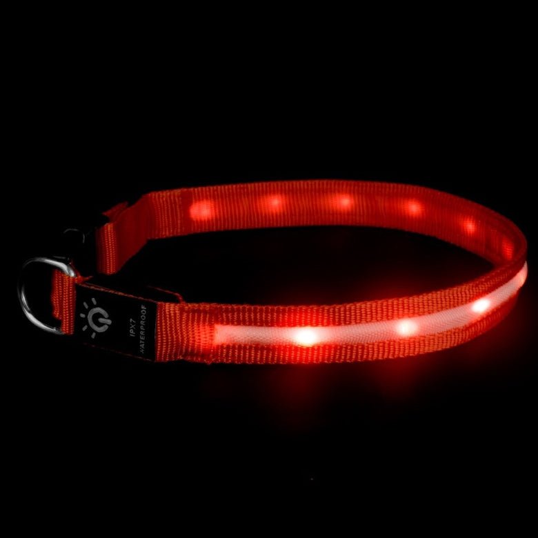 LED Pet Collar – Waterproof Light Up Dog & Cat Collar for Night Safety