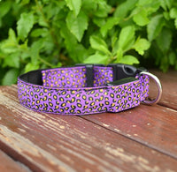 Adjustable LED Dog Collar – Safety Nylon Pet Collar with Leopard Print