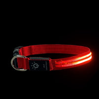 LED Pet Collar – Waterproof Light Up Dog & Cat Collar for Night Safety