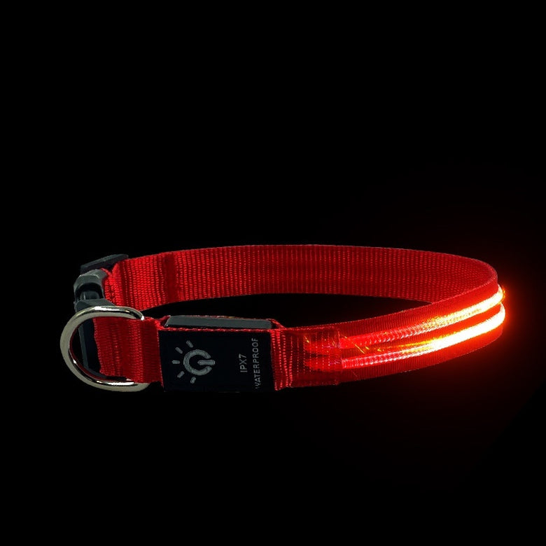 LED Pet Collar – Waterproof Light Up Dog & Cat Collar for Night Safety