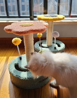 Cat Scratching Board – Claw Grinding Toy for Cats