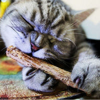 2 Pack Natural Catnip Sticks for Cats – Matatabi Chew Toys for Dental Health, Teeth Cleaning & Stress Relief