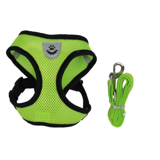 Pet Car Seat Belt Leash – Adjustable Safety Harness for Dogs & Cats