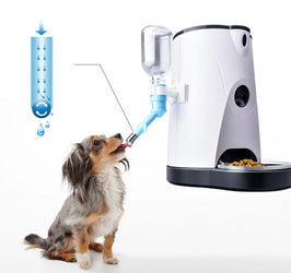 Automatic Pet Feeder – Smart Food Dispenser for Dogs & Cats