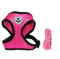 Pet Car Seat Belt Leash – Adjustable Safety Harness for Dogs & Cats
