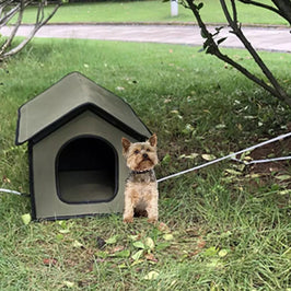 Waterproof Outdoor Dog & Cat House – Foldable Pet Kennel & Shelter for Indoor & Outdoor Sleeping