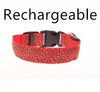 Adjustable LED Dog Collar – Safety Nylon Pet Collar with Leopard Print