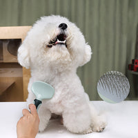Professional Cordless Dog Grooming Clippers – Low-Noise Hair Trimmer for Dogs & Cats, Thick Coat Friendly