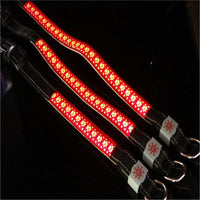 LED Dog & Cat Collar – Light Up Pet Safety Collar for Night Walking