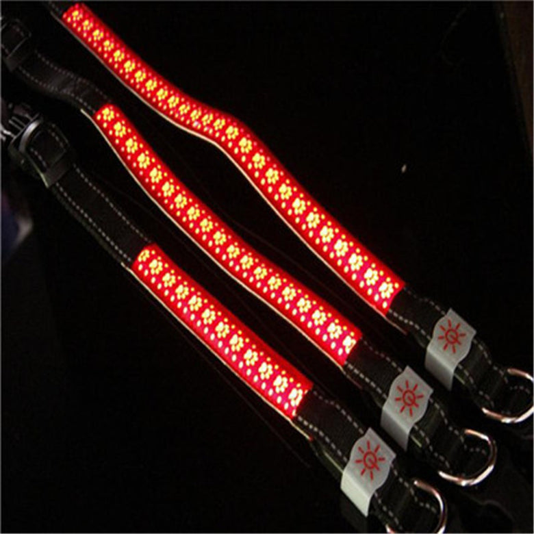 LED Dog & Cat Collar – Light Up Pet Safety Collar for Night Walking