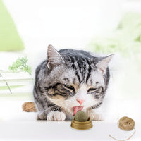 Catnip Ball Cat Treats – Rotating Dental Toy for Cats, Molar Teeth Cleaning & Stress Relief