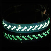 LED Dog & Cat Collar – Light Up Pet Safety Collar for Night Walking