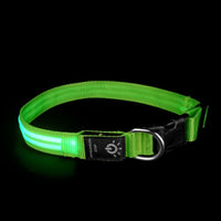 LED Pet Collar – Waterproof Light Up Dog & Cat Collar for Night Safety