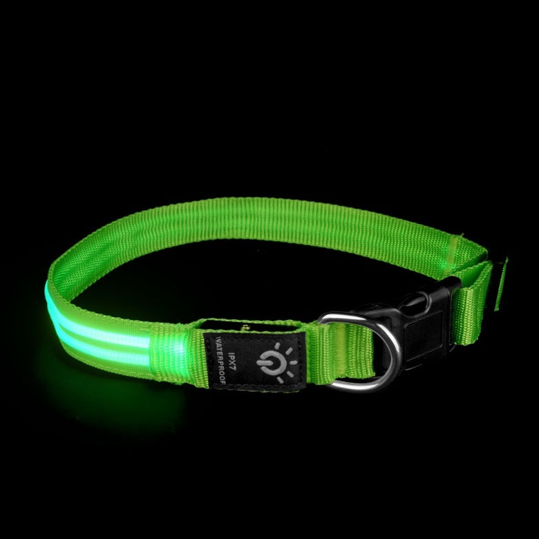 LED Pet Collar – Waterproof Light Up Dog & Cat Collar for Night Safety