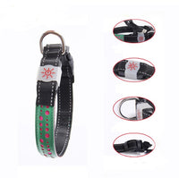 LED Dog & Cat Collar – Light Up Pet Safety Collar for Night Walking