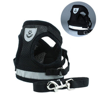 Pet Car Seat Belt Leash – Adjustable Safety Harness for Dogs & Cats