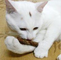 2 Pack Natural Catnip Sticks for Cats – Matatabi Chew Toys for Dental Health, Teeth Cleaning & Stress Relief