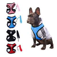 Pet Car Seat Belt Leash – Adjustable Safety Harness for Dogs & Cats