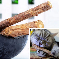 2 Pack Natural Catnip Sticks for Cats – Matatabi Chew Toys for Dental Health, Teeth Cleaning & Stress Relief