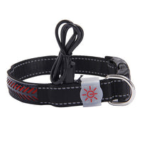 LED Dog & Cat Collar – Light Up Pet Safety Collar for Night Walking