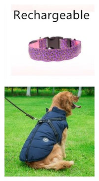 Adjustable LED Dog Collar – Safety Nylon Pet Collar with Leopard Print