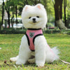 Pet Car Seat Belt Leash – Adjustable Safety Harness for Dogs & Cats