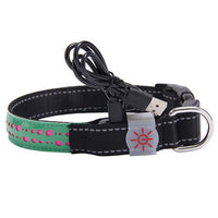 LED Dog & Cat Collar – Light Up Pet Safety Collar for Night Walking