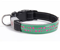 LED Dog & Cat Collar – Light Up Pet Safety Collar for Night Walking