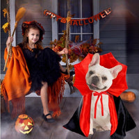 Halloween Pet Costume – Cute Vampire Cloak for Small Dogs, Cats, Puppies & Kittens | Kawaii Cosplay Pet Clothes & Accessories Gift