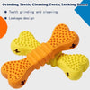Dog Chew Toothbrush Toy – Dental Care Cleaning Stick for Puppies & Adult Dogs, Safe Teething Chew Bone, Random Colors