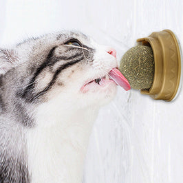 Catnip Ball Cat Treats – Rotating Dental Toy for Cats, Molar Teeth Cleaning & Stress Relief