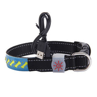 LED Dog & Cat Collar – Light Up Pet Safety Collar for Night Walking