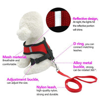 Pet Car Seat Belt Leash – Adjustable Safety Harness for Dogs & Cats