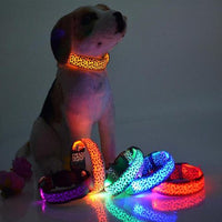 Adjustable LED Dog Collar – Safety Nylon Pet Collar with Leopard Print