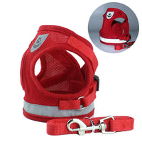 Pet Car Seat Belt Leash – Adjustable Safety Harness for Dogs & Cats