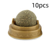 Catnip Ball Cat Treats – Rotating Dental Toy for Cats, Molar Teeth Cleaning & Stress Relief