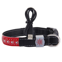 LED Dog & Cat Collar – Light Up Pet Safety Collar for Night Walking
