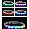 USB Rechargeable LED Dog Collar – Luminous Flashing Safety Necklace for Night Walking