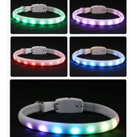 USB Rechargeable LED Dog Collar – Luminous Flashing Safety Necklace for Night Walking
