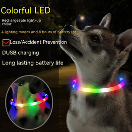 Fashion LED Dog Collar – Light Up Pet Safety Collar for Night Walks