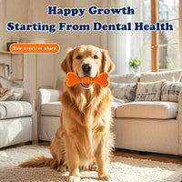 Dog Chew Toothbrush Toy – Dental Care Cleaning Stick for Puppies & Adult Dogs, Safe Teething Chew Bone, Random Colors