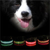 LED Dog & Cat Collar – Light Up Pet Safety Collar for Night Walking
