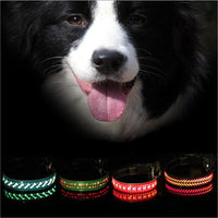 LED Dog & Cat Collar – Light Up Pet Safety Collar for Night Walking