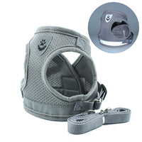 Pet Car Seat Belt Leash – Adjustable Safety Harness for Dogs & Cats