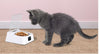 5G Smart Automatic Pet Feeder – Programmable Food Bowl for Dogs & Cats