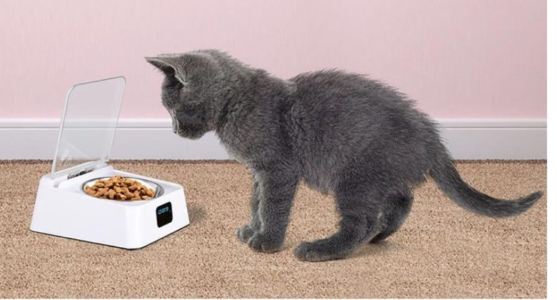 5G Smart Automatic Pet Feeder – Programmable Food Bowl for Dogs & Cats
