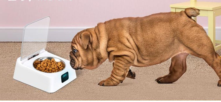 5G Smart Automatic Pet Feeder – Programmable Food Bowl for Dogs & Cats